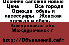 Осенние сапожки новые › Цена ­ 600 - Все города Одежда, обувь и аксессуары » Женская одежда и обувь   . Кемеровская обл.,Междуреченск г.